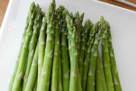 How to grow up asparagus